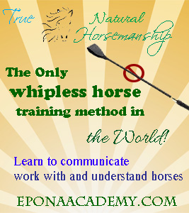 Click to sign up!