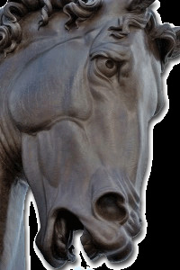 fearful horse