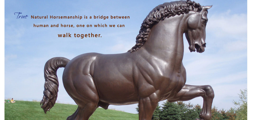 learn natural horsemanship